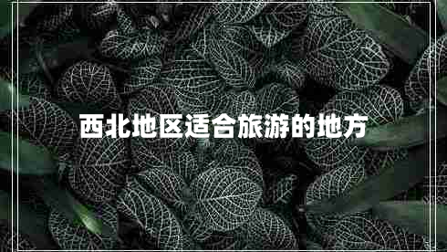 西北地區適合旅游的地方