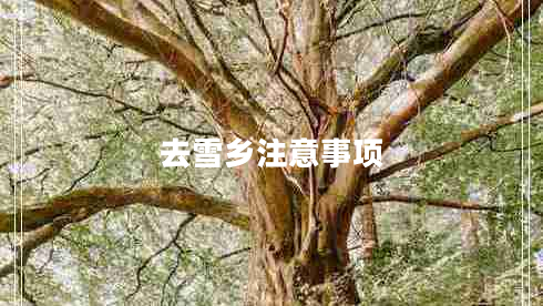 去雪鄉注意事項