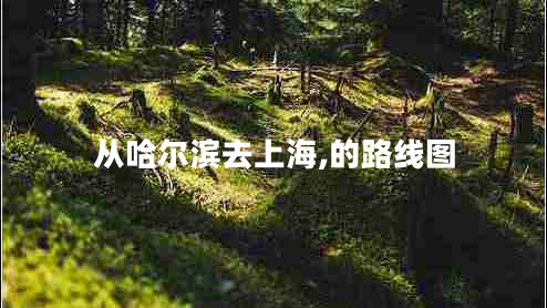 從哈爾濱去上海,的路線(xiàn)圖