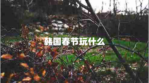 韓國春節(jié)玩什么