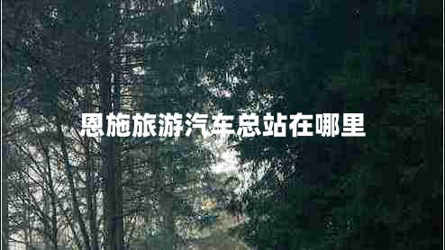恩施旅游汽車(chē)總站在哪里