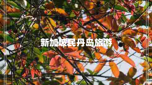 新加坡民丹島旅游