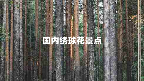 國內繡球花景點(diǎn)