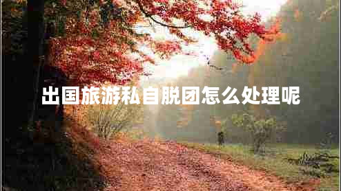 出國旅游私自脫團怎么處理呢