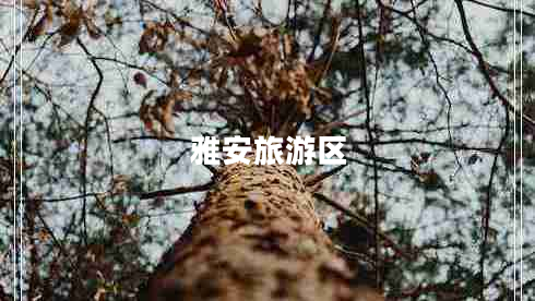 雅安旅游區