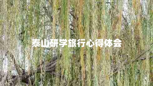 泰山研學(xué)旅行心得體會(huì )