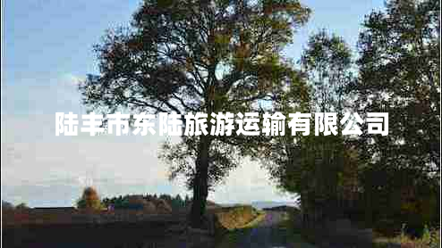 陸豐市東陸旅游運輸有限公司