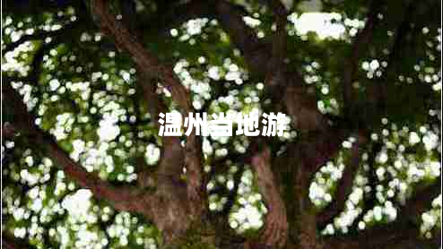 溫州當地游