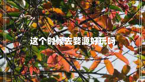 這個(gè)時(shí)候去婺源好玩嗎