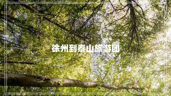 徐州到泰山旅游團