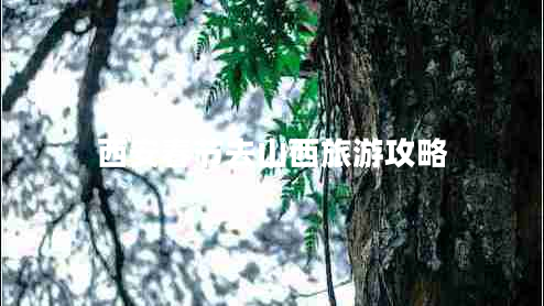 西安春節去山西旅游攻略