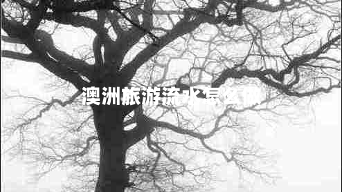 澳洲旅游流水怎么做