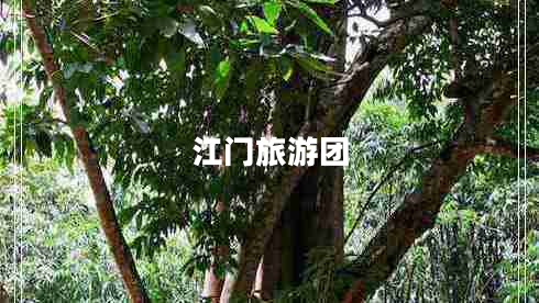 江門(mén)旅游團