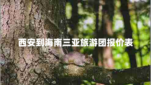 西安到海南三亞旅游團報價(jià)表