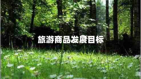 旅游商品發(fā)展目標