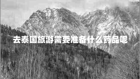 去泰國旅游需要準備什么藥品呢