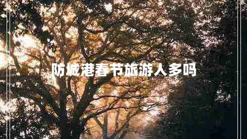 防城港春節旅游人多嗎