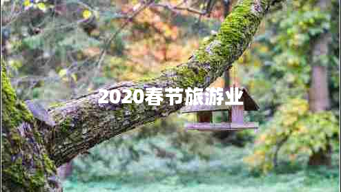 2020春節旅游業(yè)