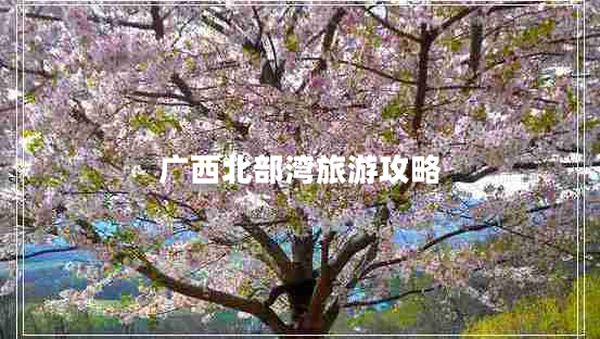廣西北部灣旅游攻略