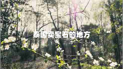 泰國賣(mài)寶石的地方