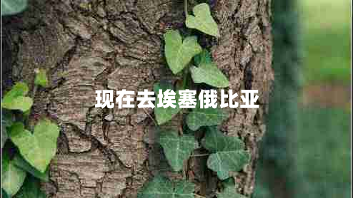現在去埃塞俄比亞