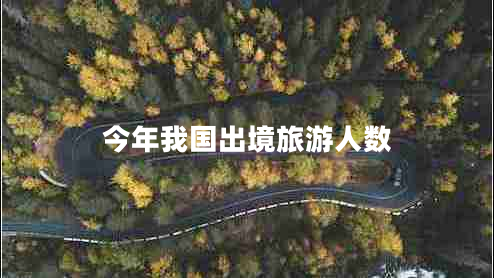 今年我國出境旅游人數