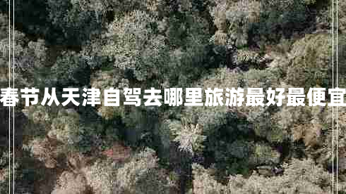 春節從天津自駕去哪里旅游最好最便宜