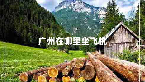 廣州在哪里坐飛機
