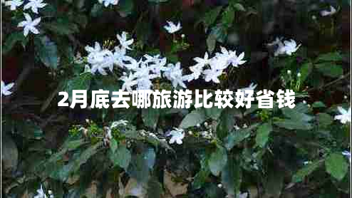 2月底去哪旅游比較好省錢(qián)