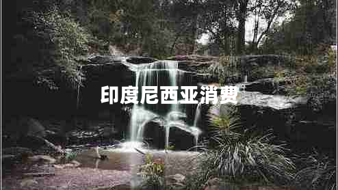 印度尼西亞消費