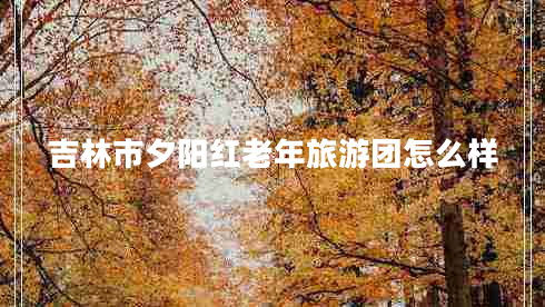 吉林市夕陽(yáng)紅老年旅游團怎么樣