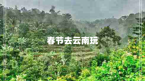 春節去云南玩