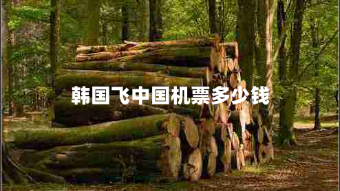 韓國飛中國機票多少錢