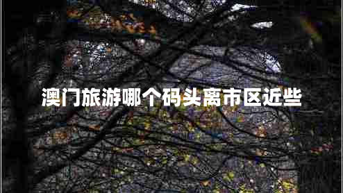 澳門旅游哪個碼頭離市區(qū)近些