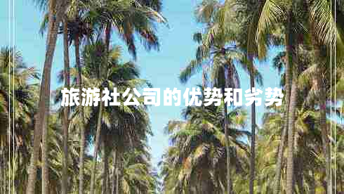 旅游社公司的優(yōu)勢和劣勢