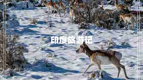印度旅游記