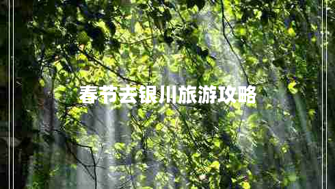 春節去銀川旅游攻略