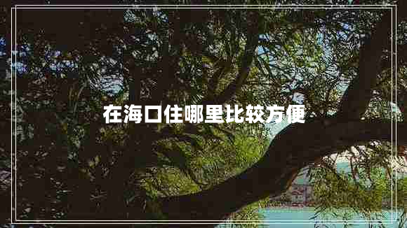 在海口住哪里比較方便