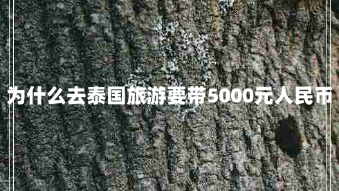 為什么去泰國旅游要帶5000元人民幣