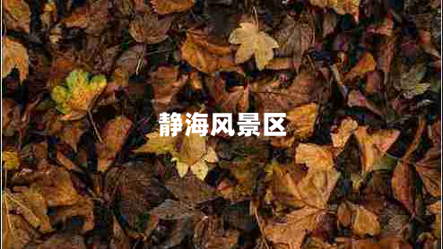 靜海風(fēng)景區
