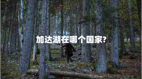 加達湖在哪個(gè)國家?