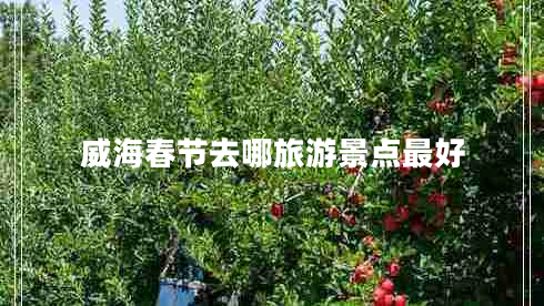 威海春節去哪旅游景點(diǎn)最好