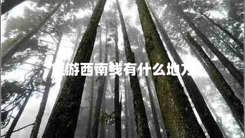 旅游西南線(xiàn)有什么地方