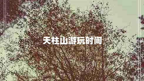 天柱山游玩時(shí)間