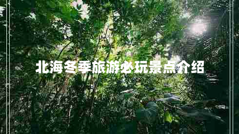 北海冬季旅游必玩景點(diǎn)介紹