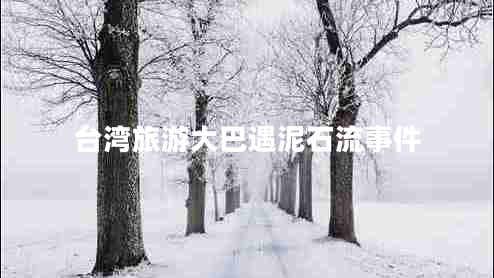 臺灣旅游大巴遇泥石流事件