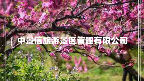 中景信旅游景區管理有限公司
