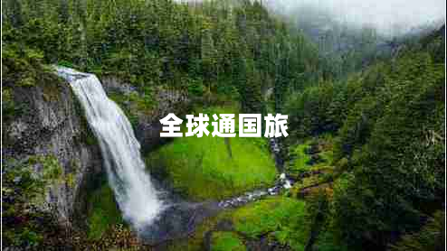 全球通國旅