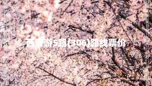 西安游5路(306)路線(xiàn)票價(jià)