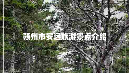 贛州市安遠旅游景點(diǎn)介紹